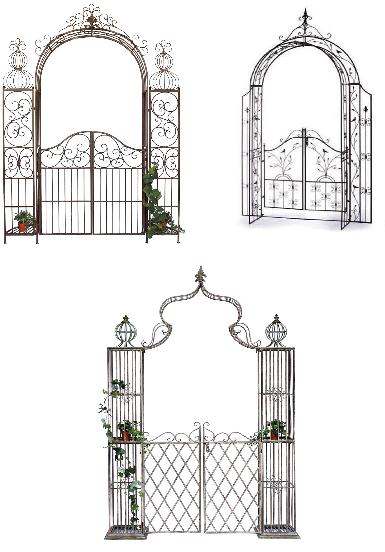 rose arches