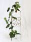 Preview: Rankhilfe mit Glocke 120697 Rankgitter aus Metall H-93cm B-21cm Kletterhilfe