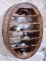 Preview: DanDiBo Weinregal Holz Wand Weinfass 24 Flaschen Braun Wandregal Flaschenregal Flaschenhalter Fass