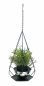 Preview: DanDiBo Blumenampel Innen Metall Wand Hängepflanzen 59 cm 96095 S mit Topf 6 Ecken Pflanzenhänger Blumenhänger Topfhänger Blumen Blumentopfhänger Hängetopf