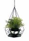 Preview: DanDiBo Blumenampel Innen Metall Wand Hängepflanzen 59 cm 96095 S mit Topf 6 Ecken Pflanzenhänger Blumenhänger Topfhänger Blumen Blumentopfhänger Hängetopf
