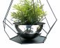 Preview: DanDiBo Blumenampel Innen Metall Wand Hängepflanzen 59 cm 96095 S mit Topf 6 Ecken Pflanzenhänger Blumenhänger Topfhänger Blumen Blumentopfhänger Hängetopf