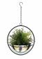 Preview: DanDiBo Blumenampel Innen Metall Wand Hängepflanzen 53 cm 96087 M mit Topf Silber Pflanzenhänger Blumenhänger Topfhänger Blumen Blumentopfhänger Hängetopf