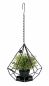 Preview: DanDiBo Blumenampel Innen Metall Wand Hängepflanzen 64 cm 96075 S mit Tür 6 Ecken Pflanzenhänger Blumenhänger Topfhänger Blumen Blumentopfhänger Hängetopf