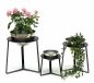 Preview: DanDiBo Flower Stool Metal with Pot Black Silver Flower Stand 96091 Set of 3 Flower Column Modern Plant Stand Plant Stool