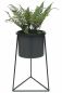 Preview: DanDiBo Blumenhocker mit Topf Metall Schwarz L 45 cm Blumenständer 96052 Blumensäule Modern Pflanzenständer Pflanzenhocker