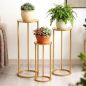 Preview: DanDiBo Blumenständer Metall Gold Rund 96510 3er Set Pflanzenständer Blumenhocker Beistelltisch Blumensäule Modern Pflanzenhocker