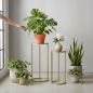 Preview: DanDiBo Metal Plant Stand Gold Round 96510 Set of 3 Plant Stands Flower Stools Side Tables Flower Columns Modern Plant Holders