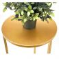 Preview: DanDiBo Blumenständer Metall Gold Rund 96510L 70 cm Set Pflanzenständer Blumenhocker Beistelltisch Blumensäule Modern Pflanzenhocker