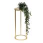 Preview: DanDiBo Blumenständer Metall Gold Rund 96510M 60 cm Set Pflanzenständer Blumenhocker Beistelltisch Blumensäule Modern Pflanzenhocker