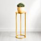 Preview: DanDiBo Metal Plant Stand Gold Round 96510 S 50 cm Set Plant Holder Flower Stool Side Table Flower Column Modern Plant Stand