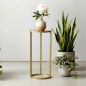 Preview: DanDiBo Metal Plant Stand Gold Round 96510 S 50 cm Set Plant Holder Flower Stool Side Table Flower Column Modern Plant Stand