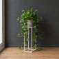 Preview: DanDiBo Metal Plant Stand White Square 96482 S Plant Holder 50 cm Flower Stool Side Table Flower Pedestal Modern Plant Stool