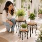 Preview: DanDiBo Round Mosaic Plant Stand Set of 3 12014 Plant Holder for Outdoor Use Flower Stool Outdoor Side Table Plant Stool