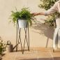 Preview: DanDiBo Blumenständer mit Topf Metall Schwarz Weiß Rund 96043 L 75 cm Pflanzenständer Blumenhocker Beistelltisch Blumensäule Modern Pflanzenhocke