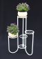 Preview: DanDiBo Blumentreppe Metall Weiß 93920 Pflanzenentreppe 81 cm Blumenregal Pflanzenständer Blumenständer