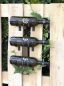 Preview: DanDiBo 6x Wandhaken Weinflaschen Flaschen Metall Schwarz 96347 Weinregal Haken DIY Wandregal Regal
