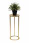 Preview: DanDiBo Flower Stool Metal Gold Round 50 cm Flower Stand Side Table 96510 S Flower Column Modern Plant Stand Plant Stool