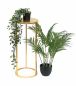 Preview: DanDiBo Flower Stool Metal Gold Round 60 cm Flower Stand Side Table 96510 M Flower Column Modern Plant Stand Plant Stool
