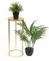 Preview: DanDiBo Flower Stool Metal Gold Round 60 cm Flower Stand Side Table 96510 M Flower Column Modern Plant Stand Plant Stool