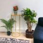 Preview: DanDiBo Blumenhocker Metall Gold Rund 70 cm Blumenständer Beistelltisch 96510 L Blumensäule Modern Pflanzenständer Pflanzenhocker