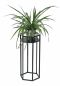 Preview: DanDiBo Blumenhocker Metall Schwarz 6eck 50 cm Blumenständer Blumensäule 96453 S Pflanzenhocker Modern Pflanzenständer