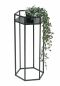 Preview: DanDiBo Blumenhocker Metall Schwarz 6eck 60 cm Blumenständer Blumensäule 96453 M Pflanzenhocker Modern Pflanzenständer