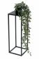 Preview: DanDiBo Blumenhocker Metall Schwarz Eckig 50 cm Blumenständer Beistelltisch 96315 S Blumensäule Modern Pflanzenständer Pflanzenhocker