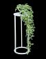 Preview: DanDiBo Blumenhocker Metall Weiß Rund 50 cm Blumenständer Beistelltisch 96483 S Blumensäule Modern Pflanzenständer Pflanzenhocker