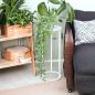 Preview: DanDiBo Blumenhocker Metall Weiß Rund 50 cm Blumenständer Beistelltisch 96483 S Blumensäule Modern Pflanzenständer Pflanzenhocker