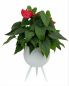 Preview: DanDiBo Blumenhocker Metall mit Topf Weiß 27 cm Blumenständer 96259 L Blumensäule Modern Pflanzenständer Pflanzenhocker