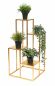 Preview: DanDiBo Flower Staircase Metal Gold 82 cm Plant Staircase Flower Stand 96505 Flower Column Modern Plant Stand Flower Stool