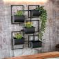 Preview: DanDiBo Kräuterregal Küche Wand Metall Schwarz 96525 Wandregal Blumenregal Pflanzenhalter Wandblumenhalter Modern
