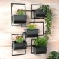 Preview: DanDiBo Kräuterregal Küche Wand Metall Schwarz 96525 Wandregal Blumenregal Pflanzenhalter Wandblumenhalter Modern