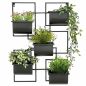 Preview: DanDiBo Kräuterregal Küche Wand Metall Schwarz 96525 Wandregal Blumenregal Pflanzenhalter Wandblumenhalter Modern