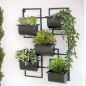 Preview: DanDiBo Kräuterregal Küche Wand Metall Schwarz 96525 Wandregal Blumenregal Pflanzenhalter Wandblumenhalter Modern
