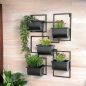 Preview: DanDiBo Kräuterregal Küche Wand Metall Schwarz 96525 Wandregal Blumenregal Pflanzenhalter Wandblumenhalter Modern
