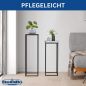Preview: DanDiBo plant stand metal black square 2-piece set 96587 side table high flower stool flower stand modern design