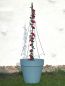 Preview: DanDiBo climbing support garden metal black umbrella climbing trellis flowers climbing plants roses ground plug climbing support flower holder climbing column