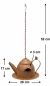 Preview: DanDiBo birdhouse to hang up stainless steel decorative rust watering can weatherproof 96423 nesting box feeding station for birds shabby with chain hanging metal can balcony