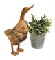 Preview: DanDiBo Deko Figur Ente Nr.58 Vogel aus Holz Skulptur Braun 30 cm Holzvogel Handgeschnitzt Stehend Tierfigur Schnitzskulptur