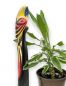 Preview: DanDiBo Deko Figur Papagei Nr.8 Vogel aus Holz Skulptur Gelb Schwarz 80 cm Holzvogel Handgeschnitzt Stehend Tierfigur Schnitzskulptur