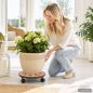 Preview: DanDiBo Pflanzenroller Outdoor Wetterfest Rund 30cm Mosaik Merano 12025 Blumenroller Blumenständer Planzenständer