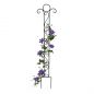 Preview: DanDiBo Plant Support Trellis Metal 135 cm Ground Spike Classic Garden Stake Climbing Support Plant Holder Trellis Column Garden Flower Stake