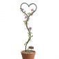 Preview: DanDiBo Plant Support Climbing Trellis Metal 150 cm Ground Spike Heart Garden Stake Trellis Climbing Plants Flower Holder Garden Heart Stake