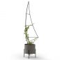 Preview: Plant Support Climbing Support Metal Black 150 cm Ground Spike Sail Garden Stake Trellis Climbing Plants Flower Holder Garden Flower Plants