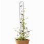 Preview: DanDiBo Plant Support Climbing Trellis Metal Black Slim 150 cm Ground Spike 96249 Garden Stake Trellis Climbing Plants Flower Holder Garden Column Plants