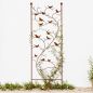 Preview: DanDiBo Metal Garden Trellis 150 cm Birds 120705 Climbing Plant Support Plant Trellis Ground Stake Flower Holder Climbing Column