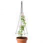 Preview: DanDiBo Plant Support Trellis Metal Black H-150 cm Garden Umbrella Design Climbing Plant Support Rose Trellis Ground Spike Plant Holder Climbing Column