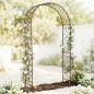 Preview: DanDiBo Metal Rose Arch, Stable, 160 cm Wide, Climbing Arch 96025, Garden Arch, Gateway Arch, Round Arch, Plant Arch, Solid, Weather-Resistant Garden Trellis